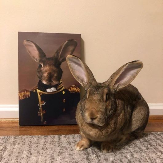 The Admiral - Custom Pet Canvas
